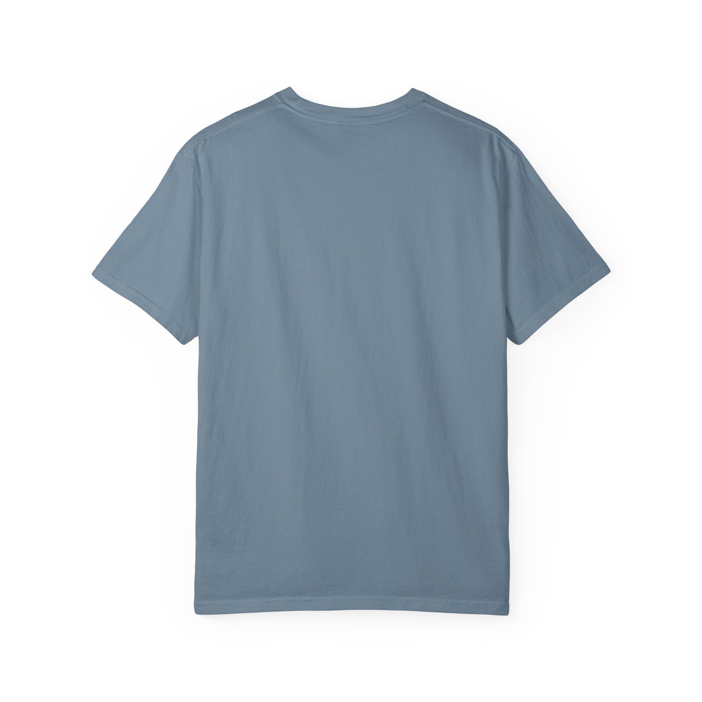 "No Cat, On Dog" Funny Gen-Z Slang Cat T-Shirt