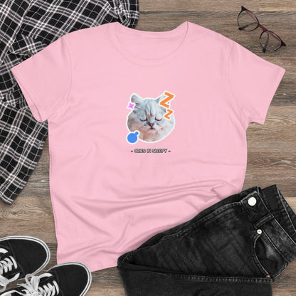 Sleepy Cat Women's T-Shirt
