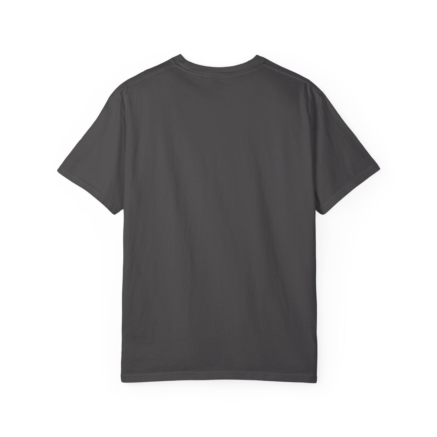 You Shall Now Pass the Treats Funny Men's/Unisex T-Shirt