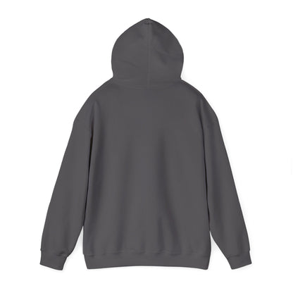 'Lesbians Eat What?!' Funny Unisex Hoodie