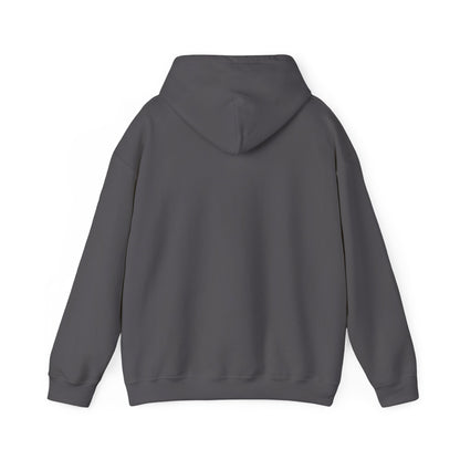 Add Me On SnapCat Funny Unisex Hoodie