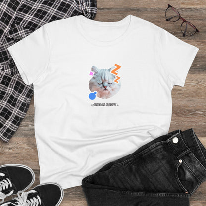 Sleepy Cat Women's T-Shirt