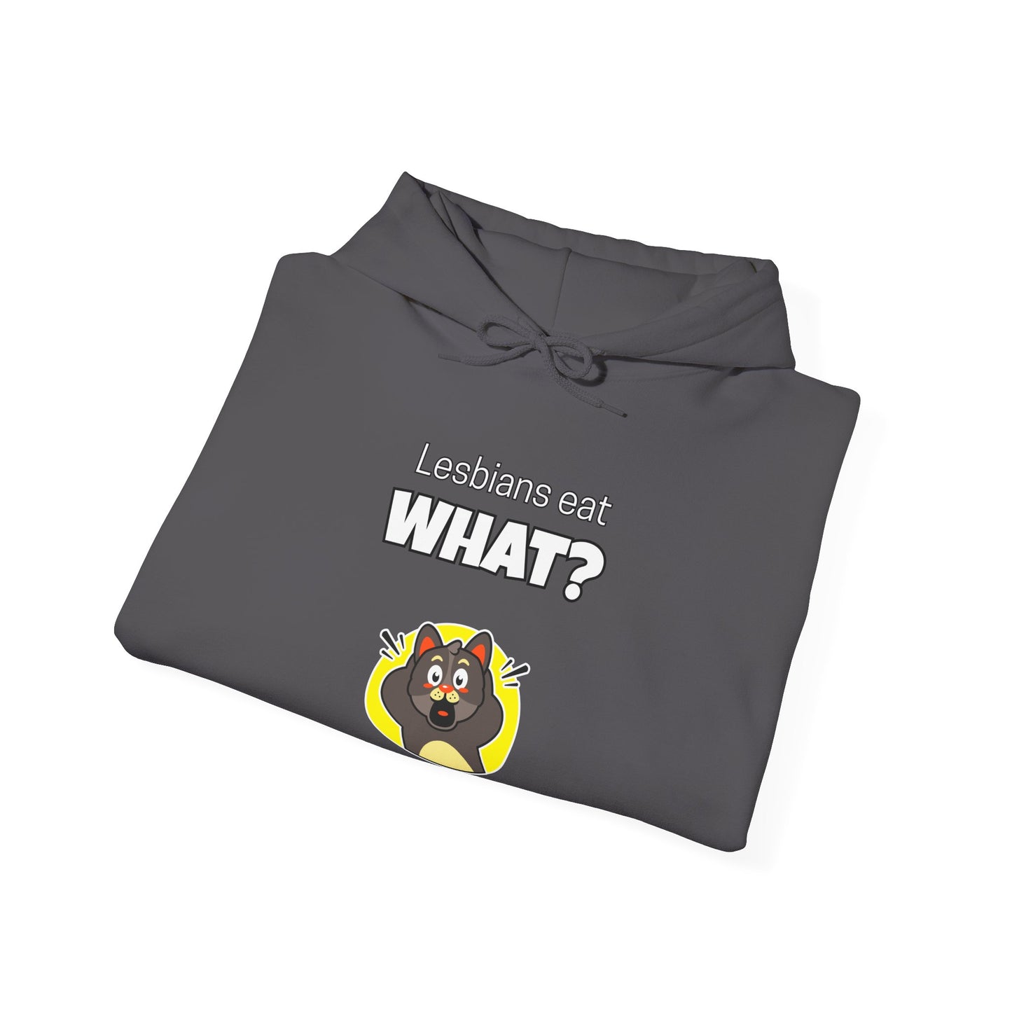'Lesbians Eat What?!' Funny Unisex Hoodie