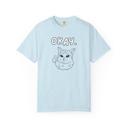 Okay Funny Men's/Unisex T-Shirt